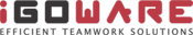 iGOWARE